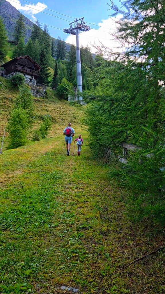 Father and daughter walking up a grassy mountain trail among pine trees.