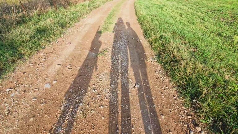 Three shadows walking in the countryside